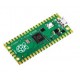 ขาย Raspberry Pi Pico ราคา 170.00 บาท ในไทย