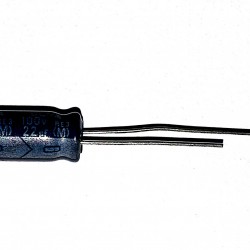 Capacitor 22uF 100V