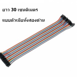 สายแพร จั้มเปอร์ เมีย to เมีย 40pin ยาว 30cm