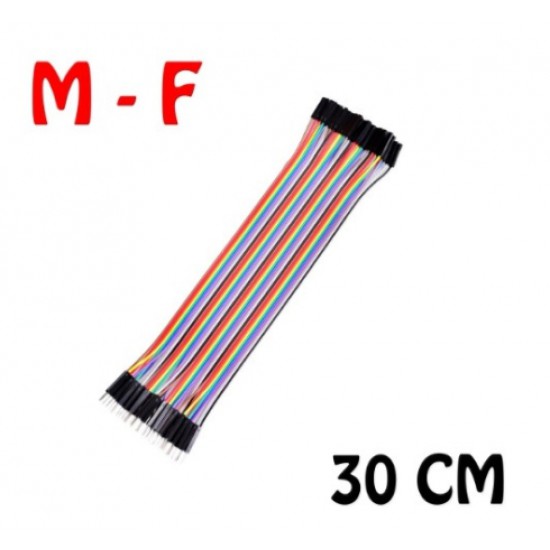ขาย สายแพร จั้มเปอร์ ผู้ to เมีย 40pin ยาว 30cm ราคา 40.00 บาท ในไทย